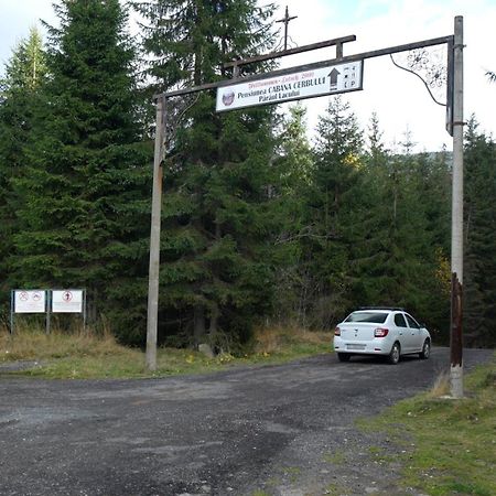 Cabana Cerbul-Oasa-Transalpina Ciban Exteriör bild