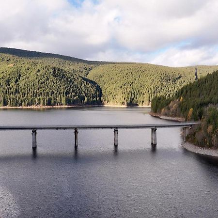 Cabana Cerbul-Oasa-Transalpina Ciban Exteriör bild