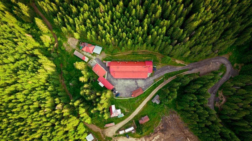 Cabana Cerbul-Oasa-Transalpina Ciban Exteriör bild