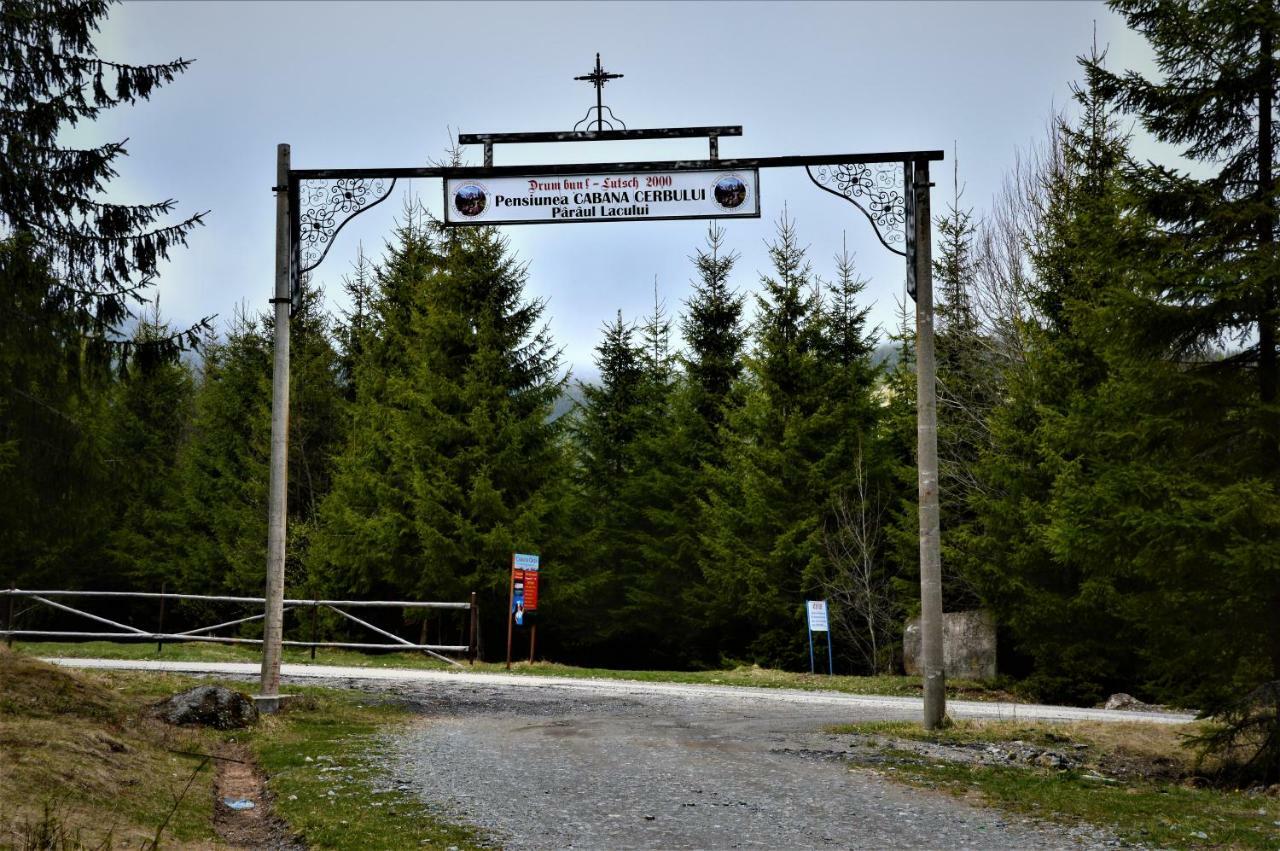 Cabana Cerbul-Oasa-Transalpina Ciban Exteriör bild