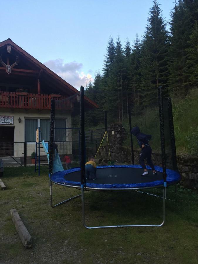 Cabana Cerbul-Oasa-Transalpina Ciban Exteriör bild