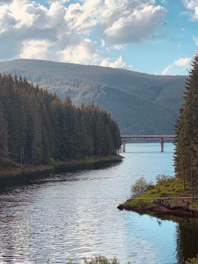 Cabana Cerbul-Oasa-Transalpina Ciban Exteriör bild